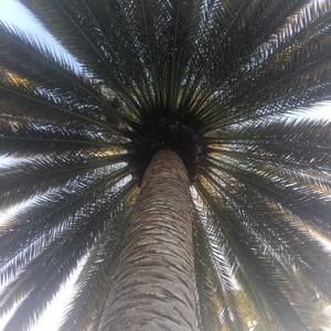 Meet your Posher, Roselien